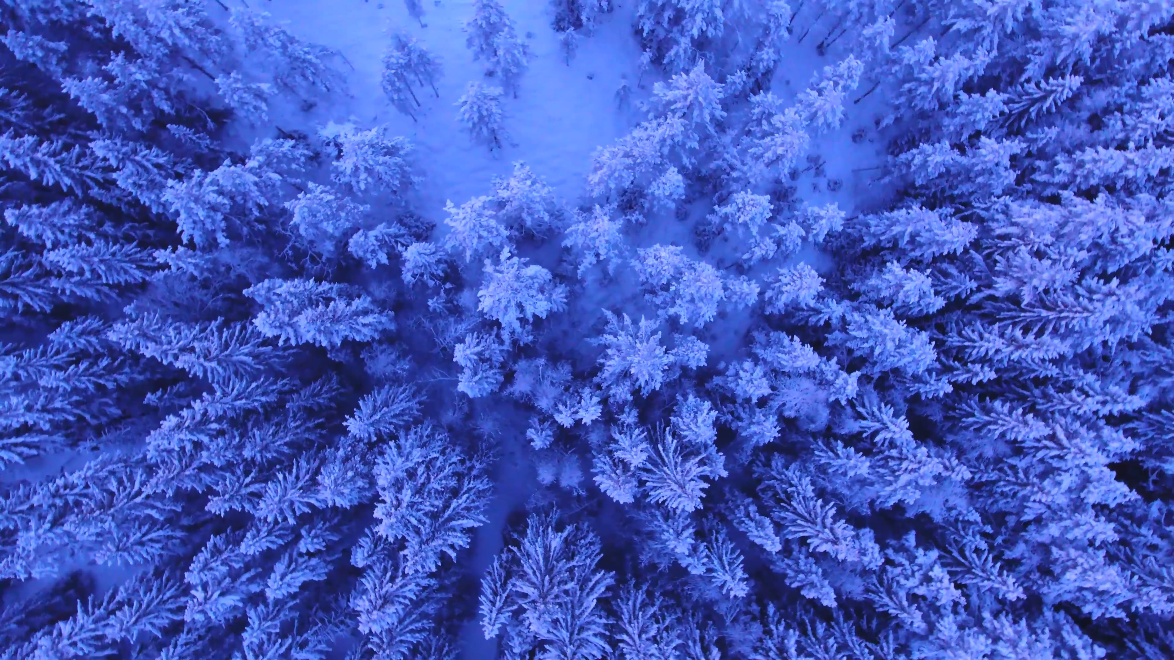 Video Placeholder 59 OTTID:359112