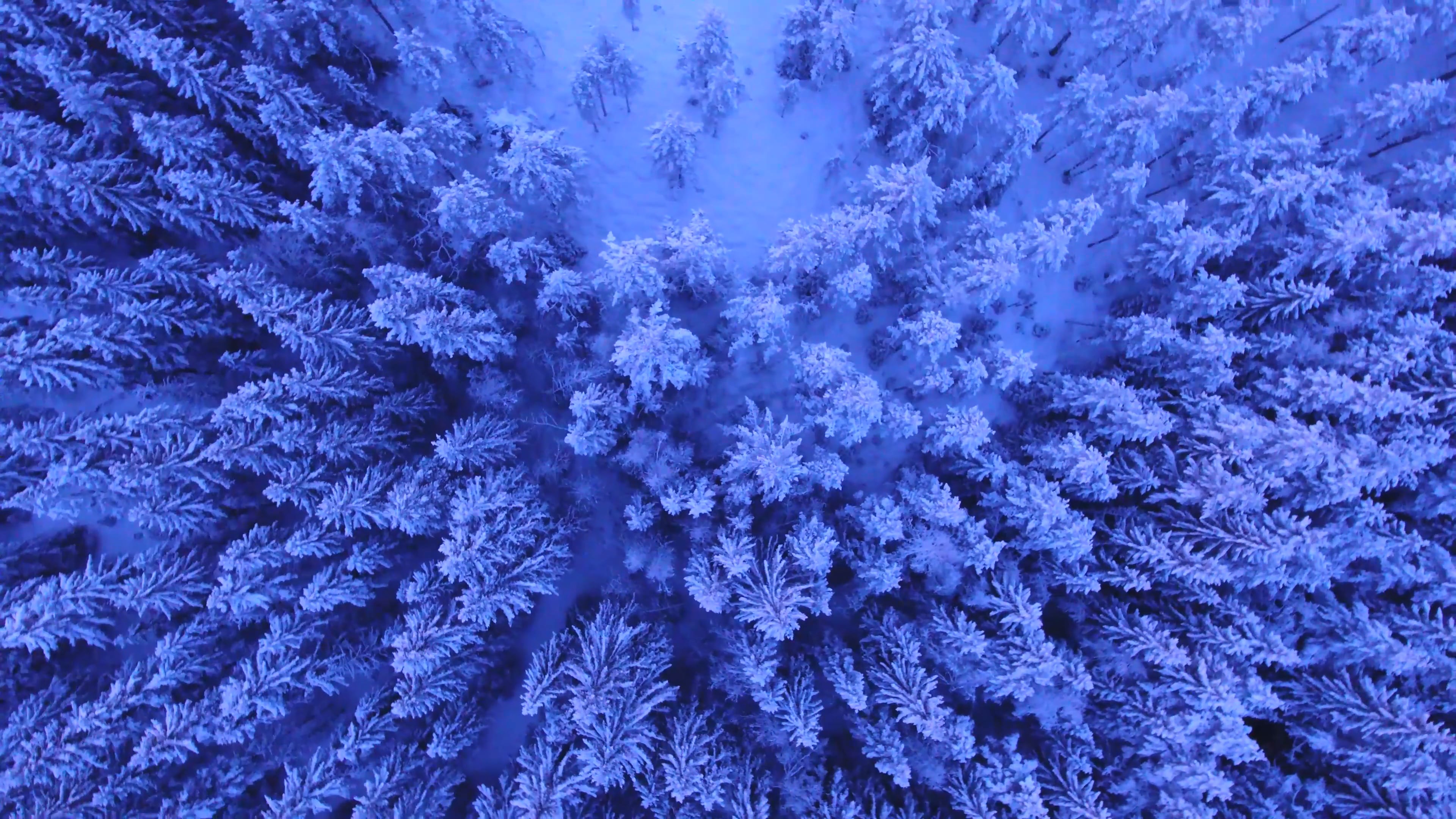 Video Placeholder 28 OTTID:359079