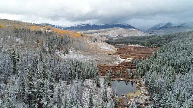 Video in TVOD Product 16