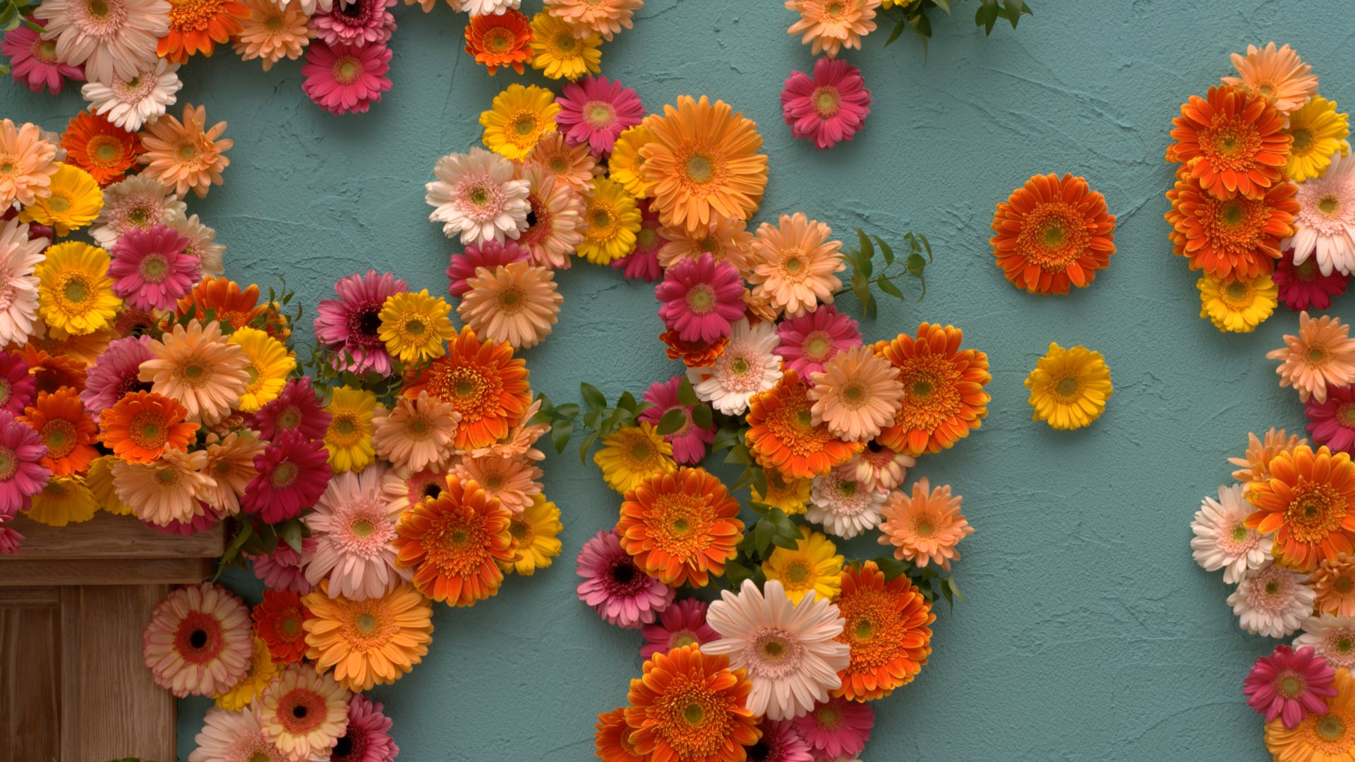 Panasonic: Marvelous World (4k@30 Only, AVC, DRM) - Do not use for playback