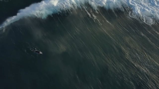 Surfer - 13772 OTTID:359049