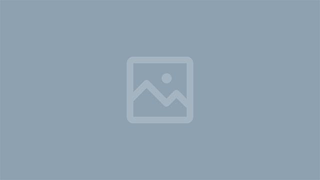 d7ca8477-3c79-4462-80f3-dc6c8da3011e_...