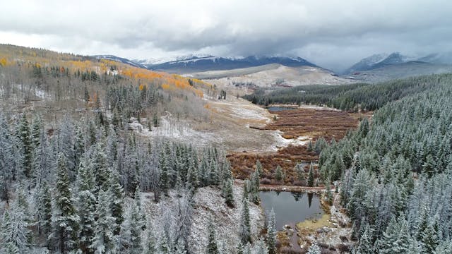 Video in TVOD Product 18