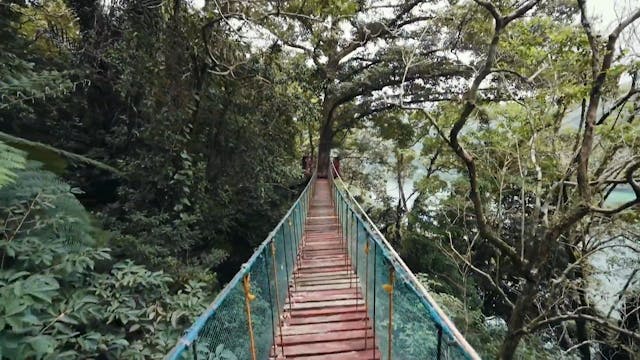 Test Video 1851 OTTID:569410