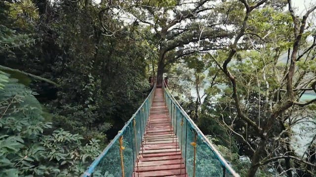 Test Video 1812 OTTID:569371