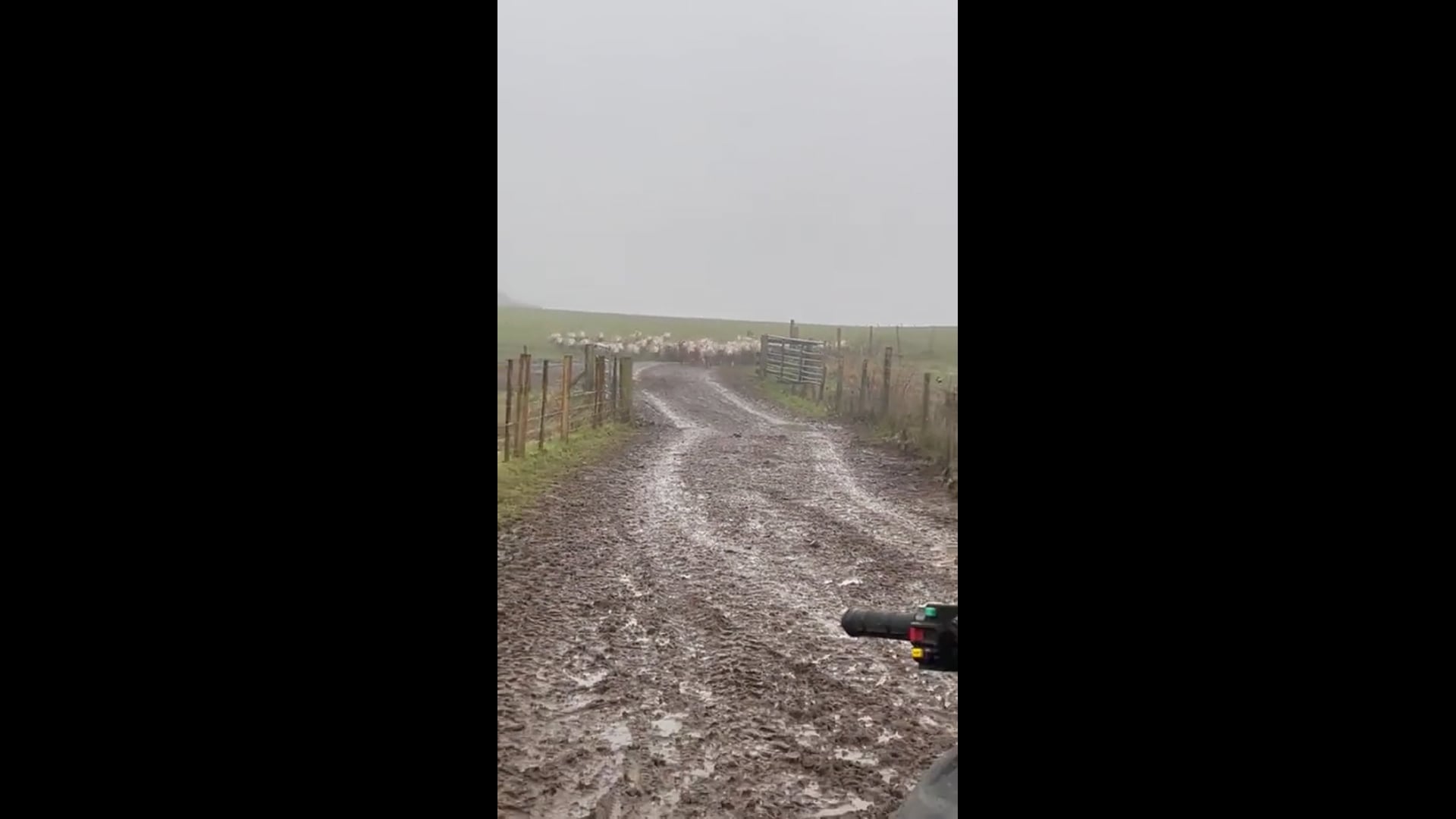 Anna & Roku Test Imported from Vimeo (540p)