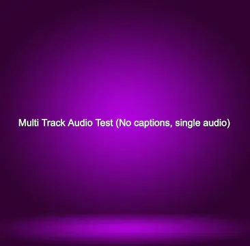 Multi Track Audio Test (No captions, ...