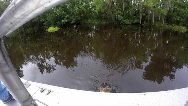 GatorGoPro