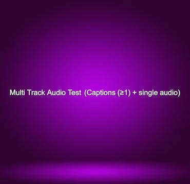 Multi Track Audio Test  (Captions (≥1...