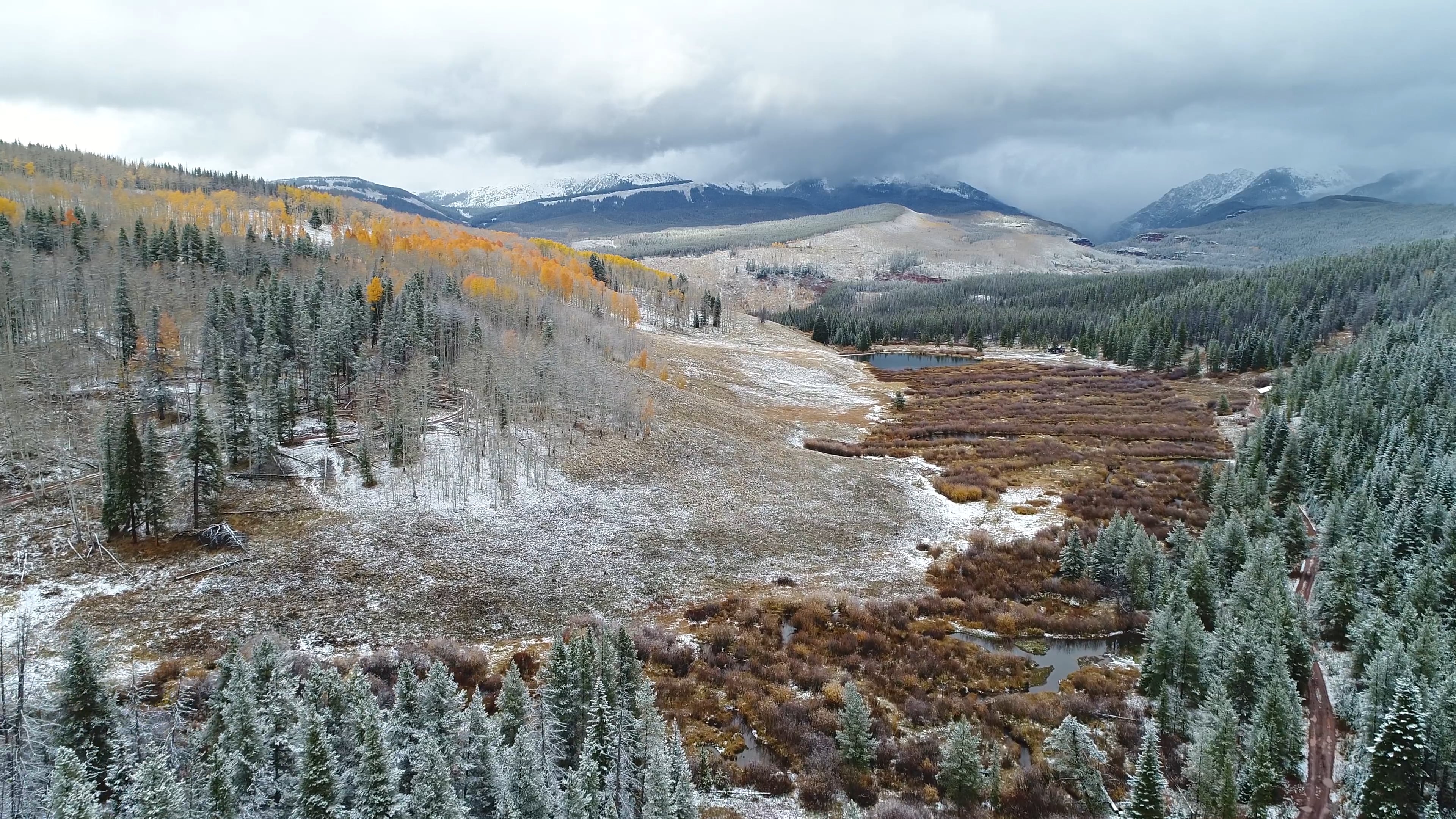 S1 - E1 - Snow Drone