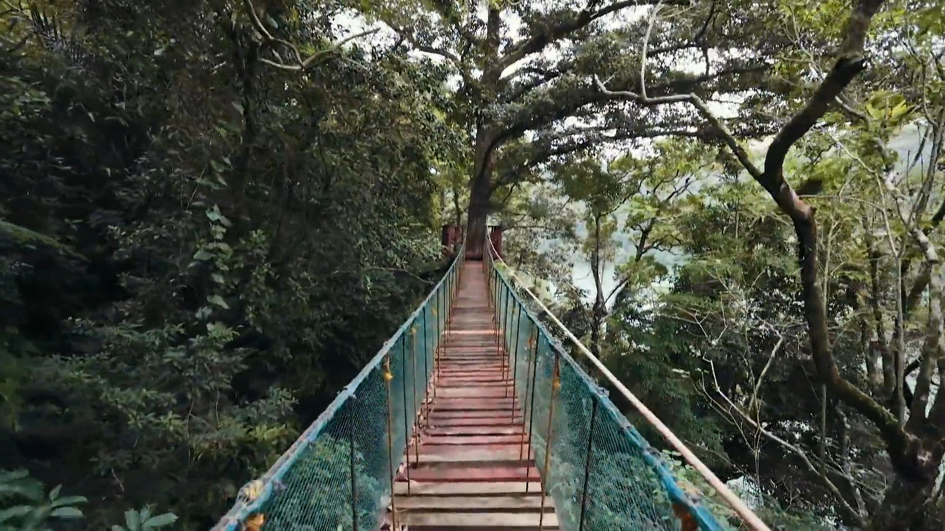 Test Video 1090