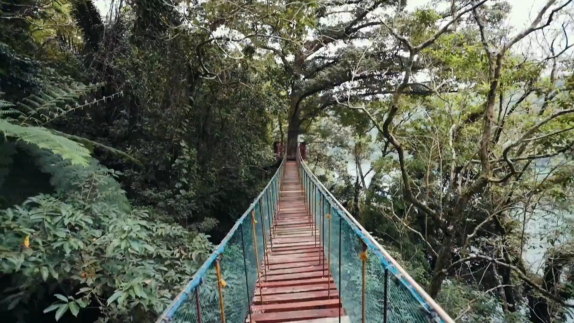 Test Video 1838