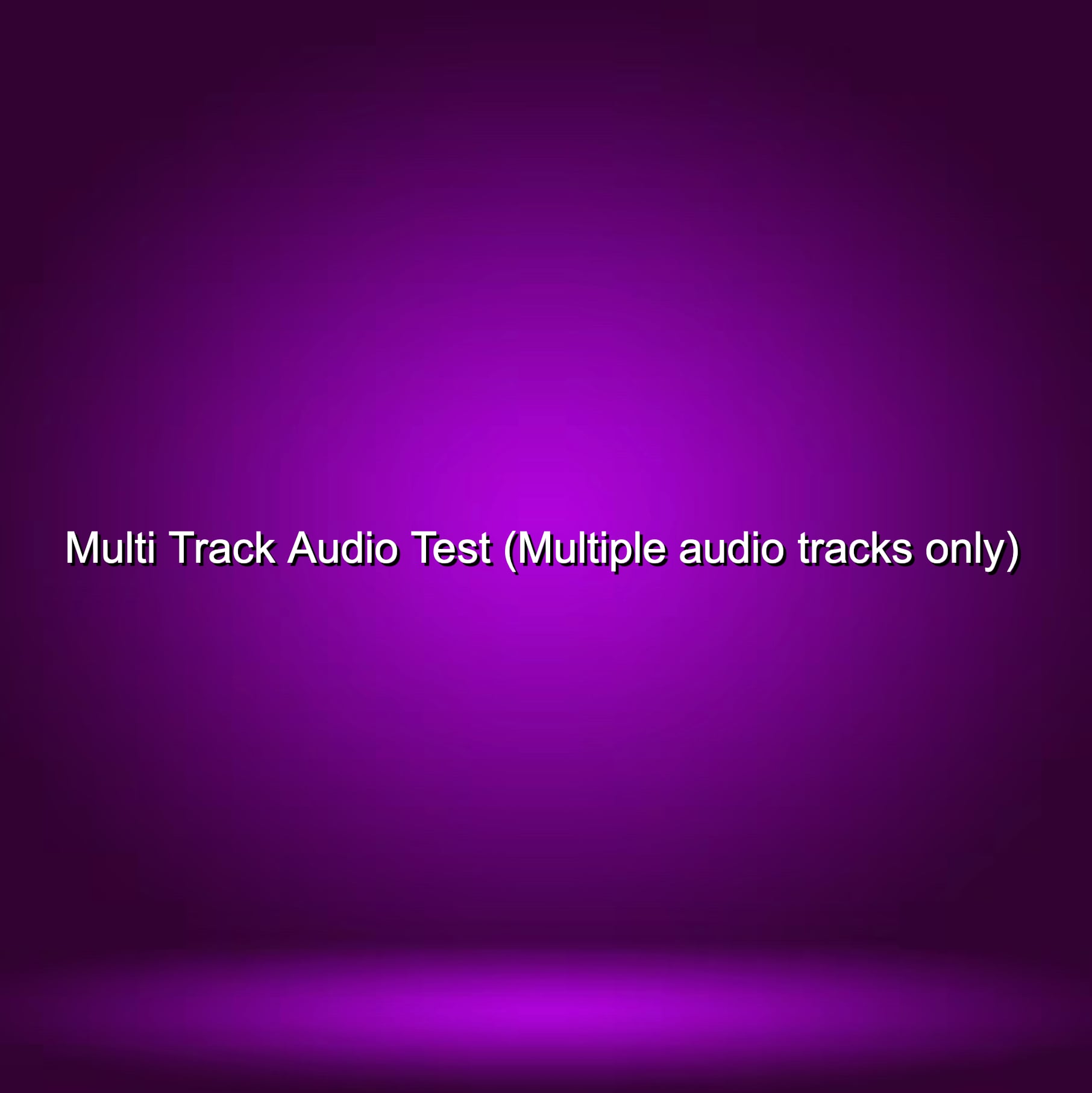 Multi Track Audio Test (Multiple audio tracks only)