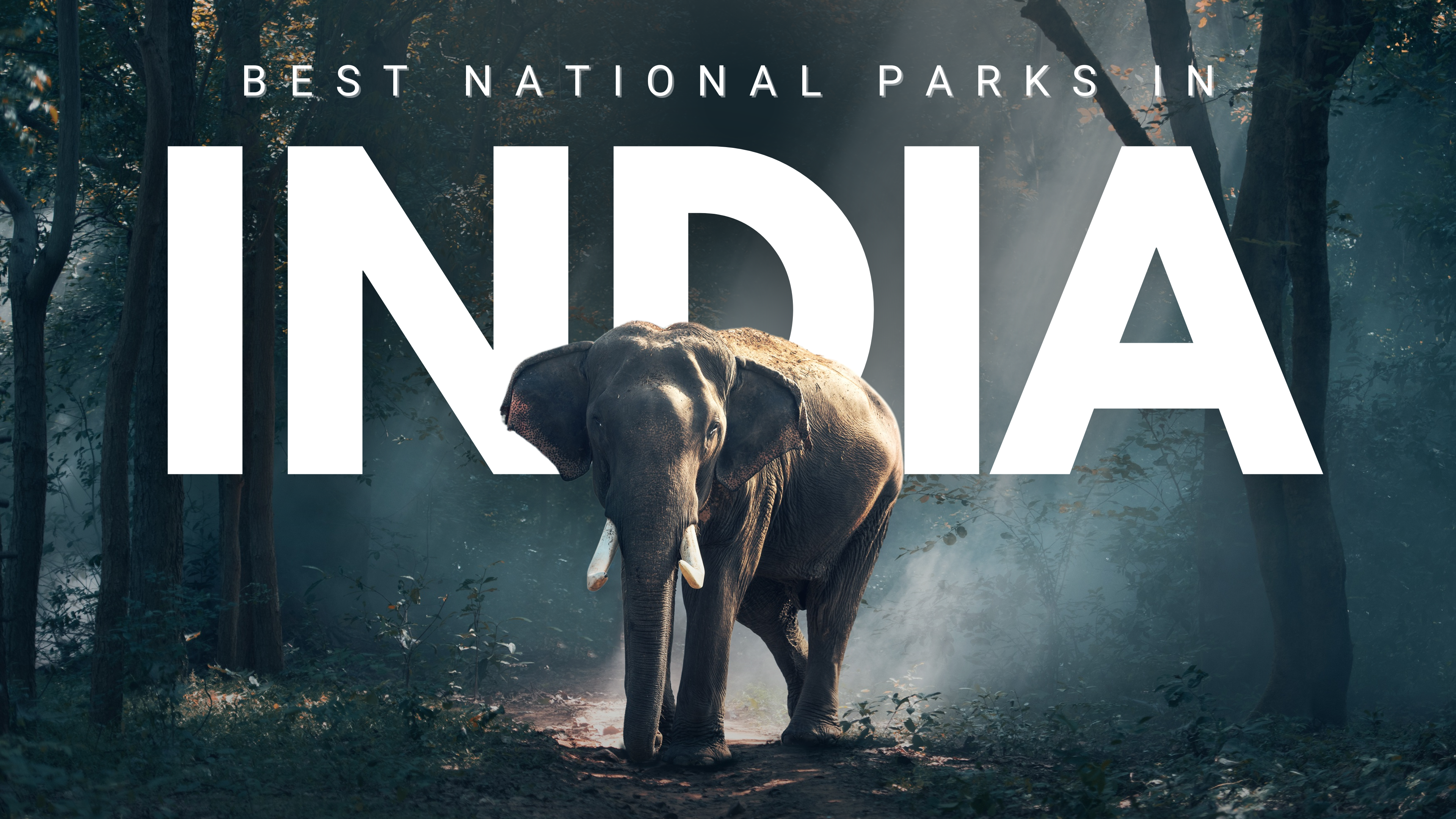 India National Parks