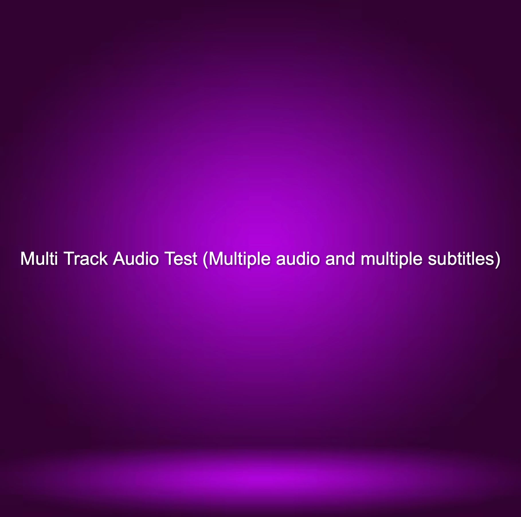 Multi Track Audio Test (Multiple audio and multiple subtitles) + chapters