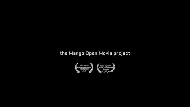 4K DRM Video (All renditions)