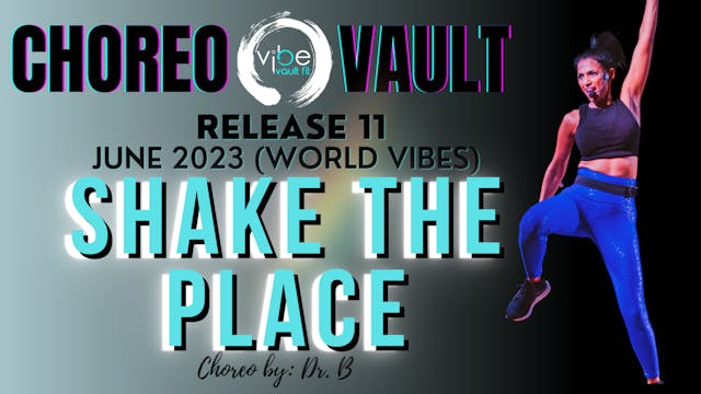 SHAKE THE PLACE (WORLD VIBES R11)