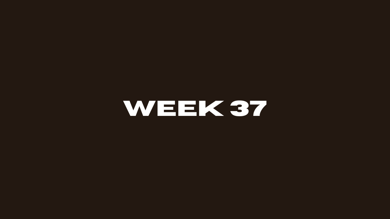 Week 37
