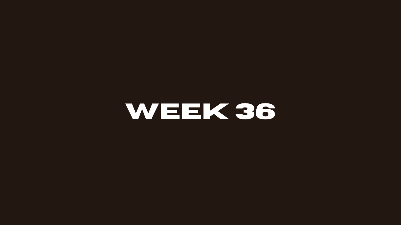 Week 36