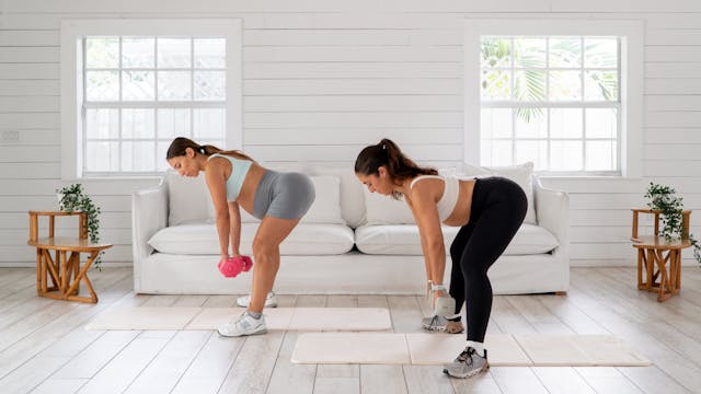 Lower Body Dumbbells | 3rd Trimester ...