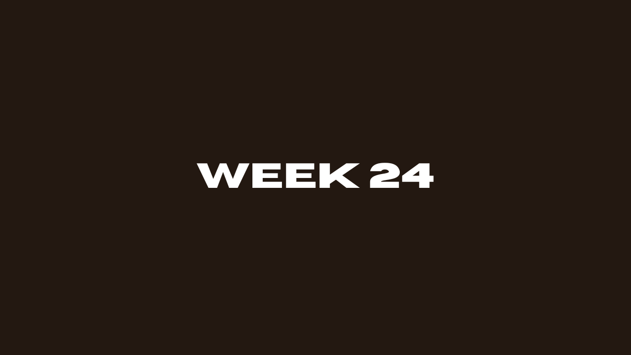 Week 24