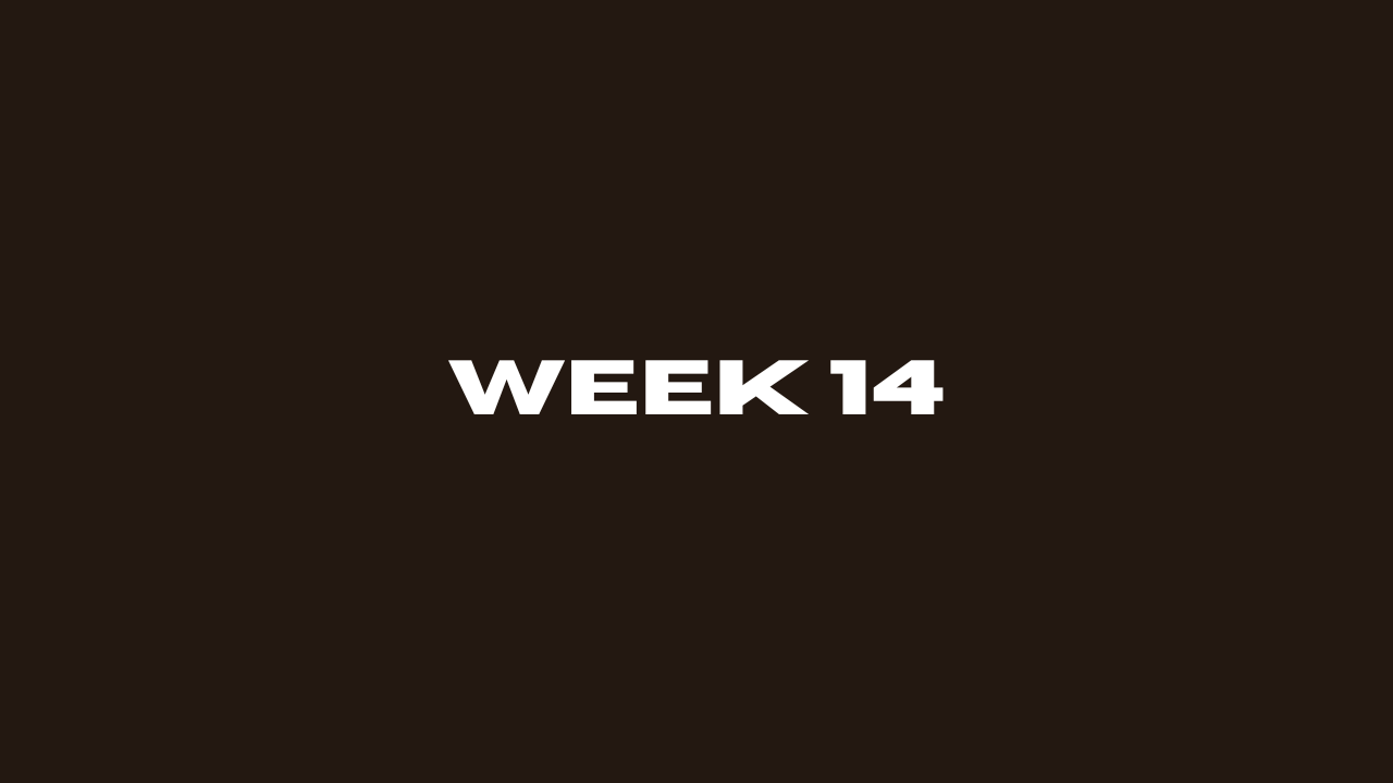 Week 14