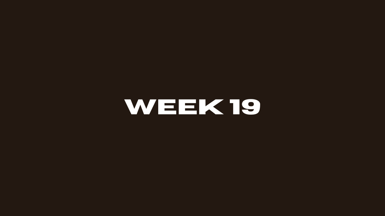 Week 19