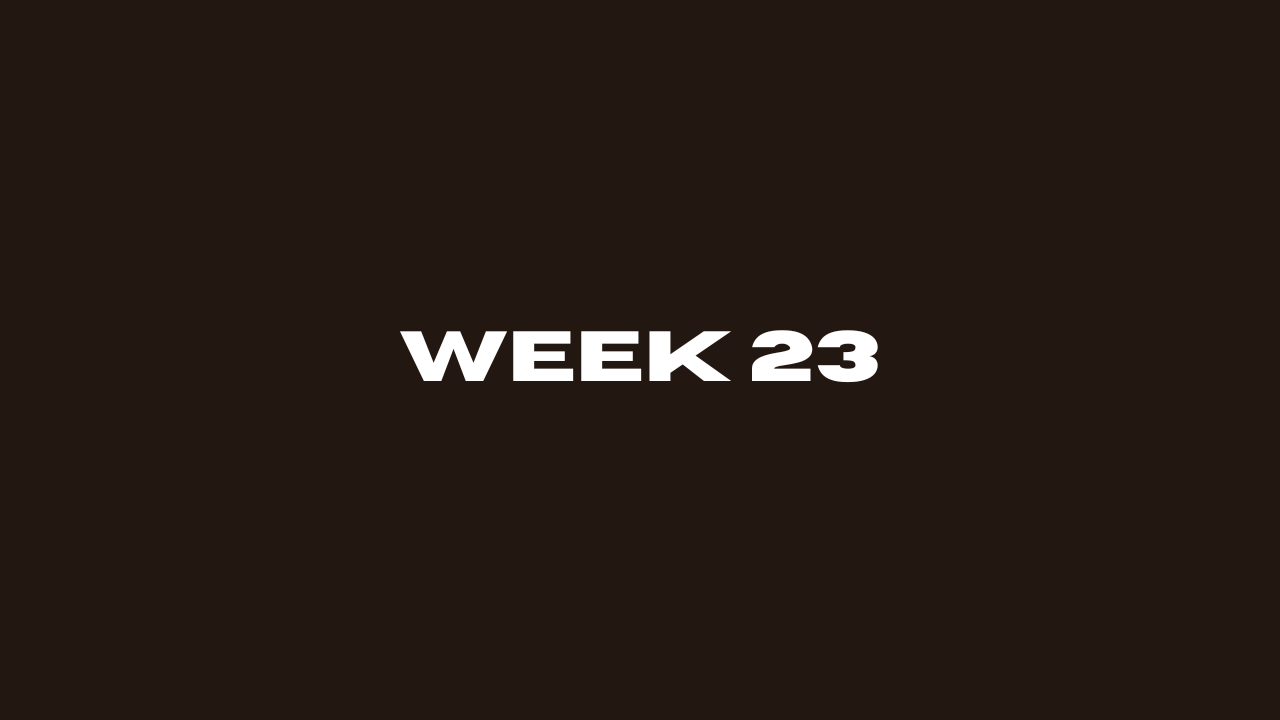 Week 23