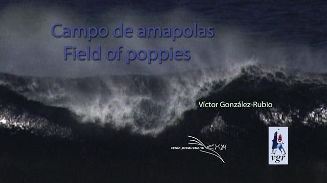 Campo de amapolas