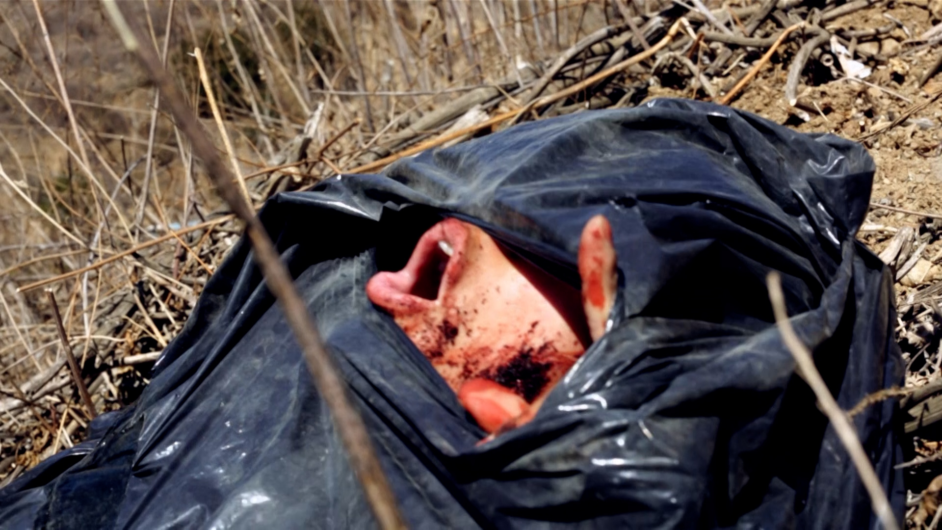 Sobreviviendo al mal