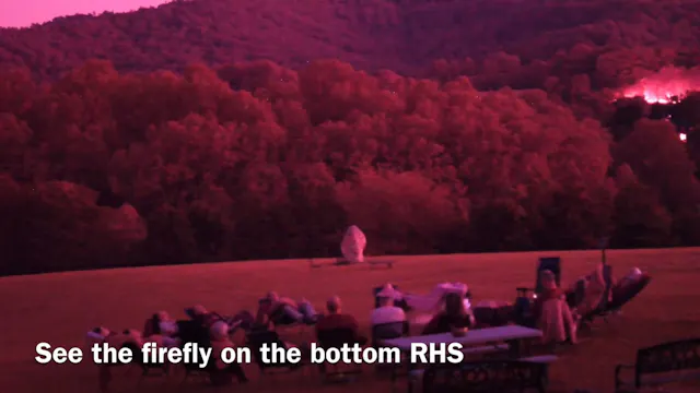 Sky Flashes “Full Spectrum” At 1st Annual UAP Consciousness Connection - Monroe Institute, May 2022