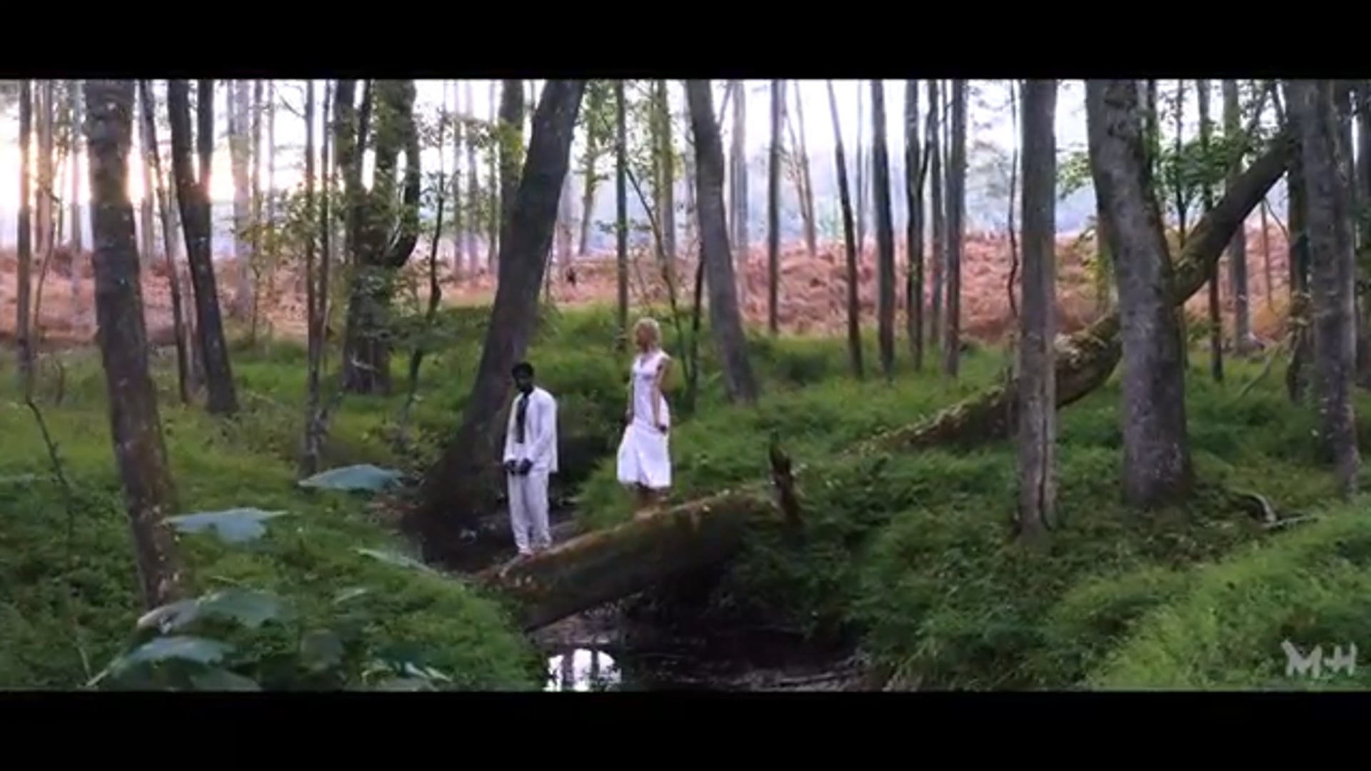 JxHines - FireFlies (Official Music Video)