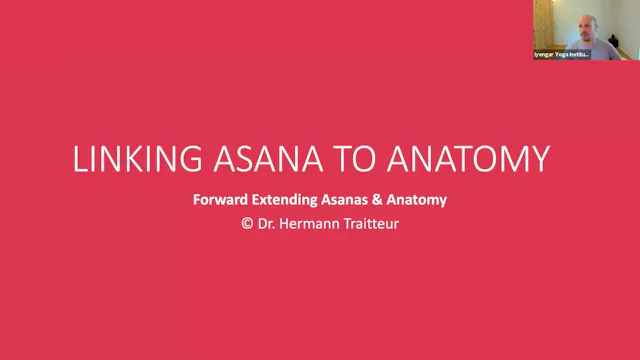 Linking Asana to Anatomy Forward Extensions