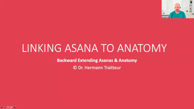 Linking Asana to Anatomy - Backward Extensions