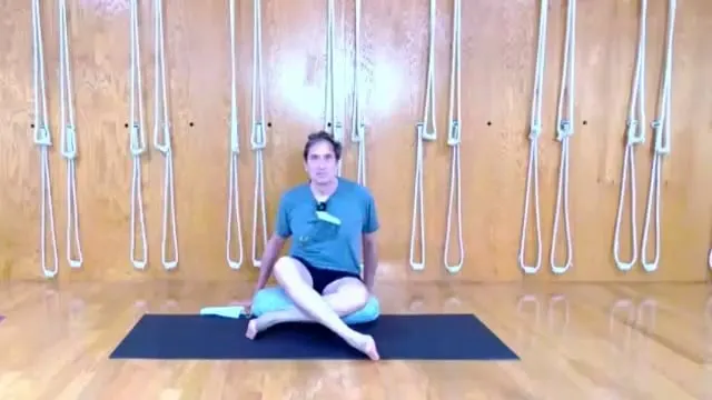 5-3-26 Level 2-3 | 2026 Iyengar Yoga Classes twisted work