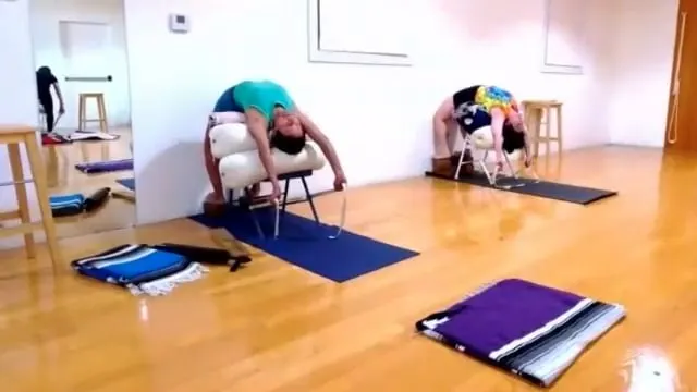 2-22-26 Level 2-3 | 2026 Iyengar Yoga Classes Dwi Pada drop overs