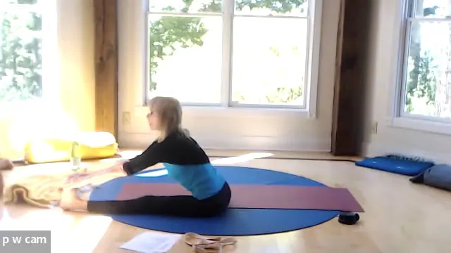 Class 1: Abdominal Asanas