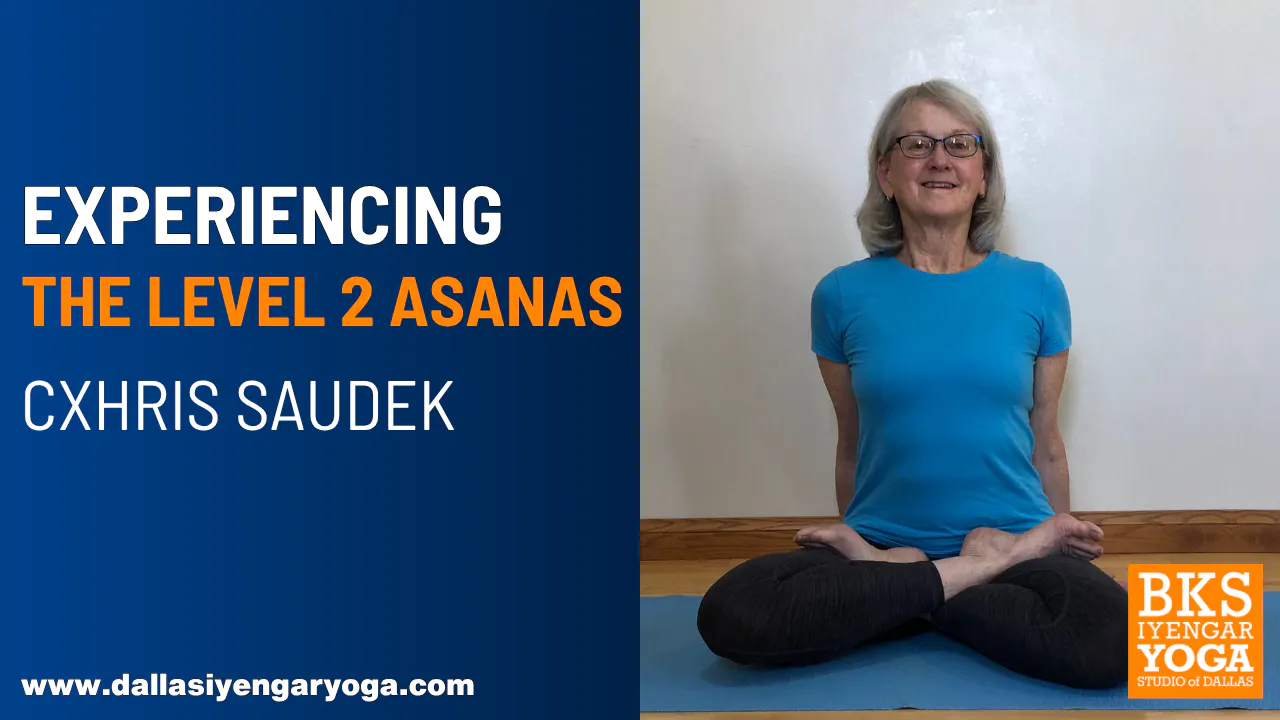 Experiencing the Level 2 Asanas with Chris Saudek