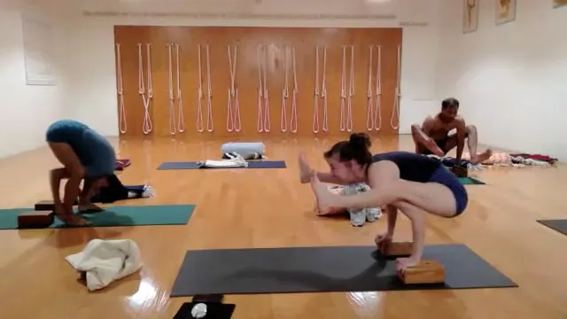 Class 5: Forward Extensions to Arm Balances to Kurmasana