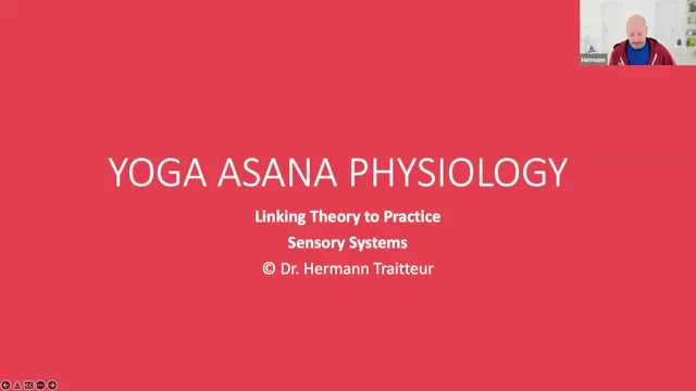The Sensory System