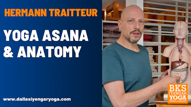 Yoga Asana & Anatomy with Dr. Hermann Traitteur