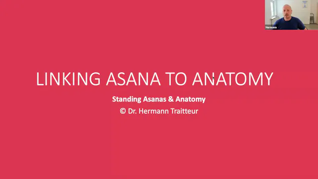 Linking Asana to anatomy standing asanas