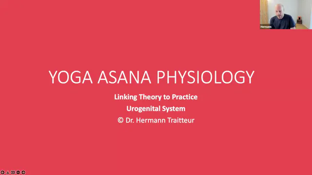 The Urogenital System