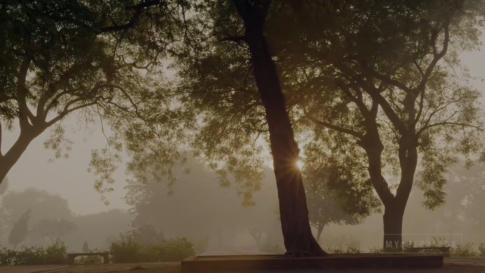 [HEVC]_(HDR)_UHD_4K No Ads
