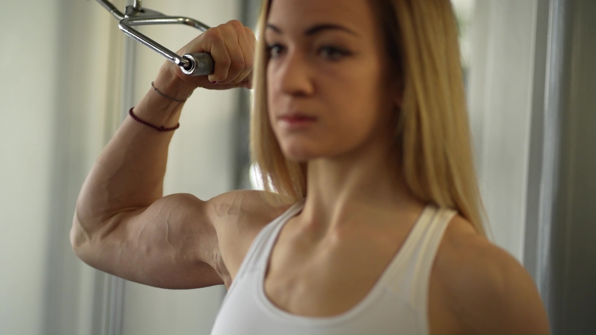 Archive Collection 52