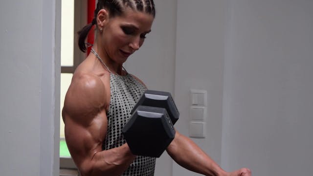 Archive Collection 05