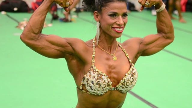 Archive Collection 26