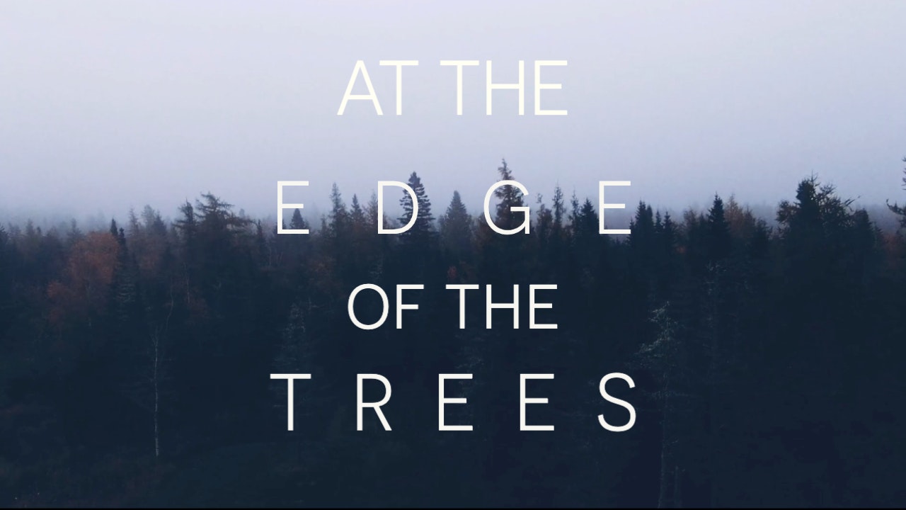 AT THE EDGE OF THE TREES