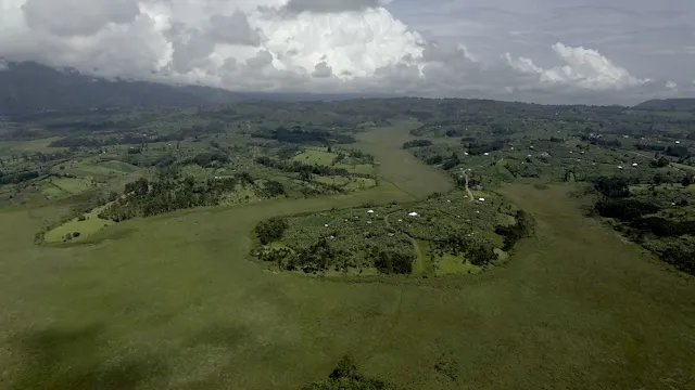 Crazy Money (EN, NL, FR)