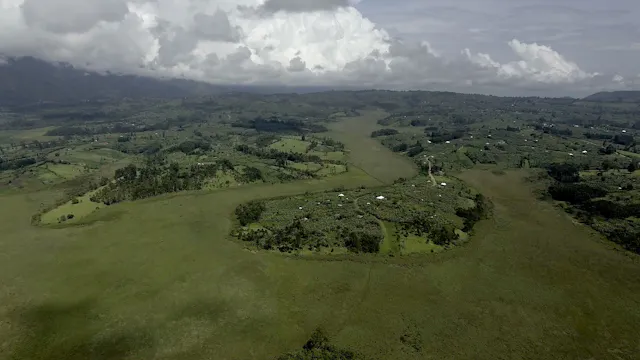 CRAZY MONEY (EN, NL, FR)